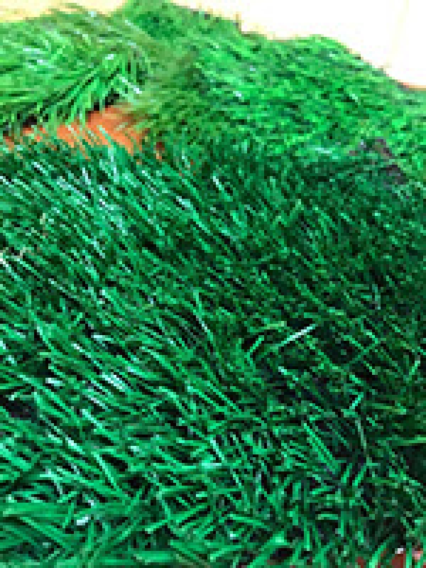 Акция &quot;Весенний ценопад -2017&quot;